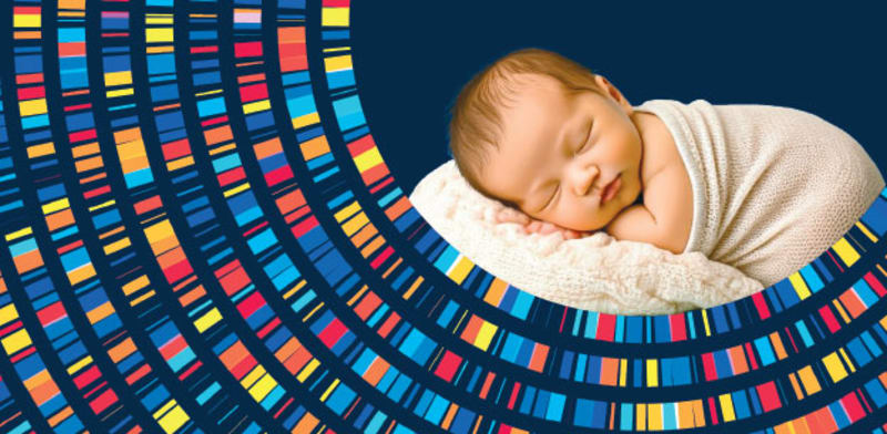 "האובססיה של עמק הסיליקון ללדת תינוקות חכמים יותר / צילום: Shutterstock"