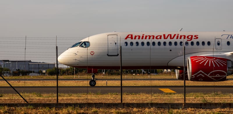 "אנימאווינגס משיקה קו חדש בישראל / צילום: Shutterstock"