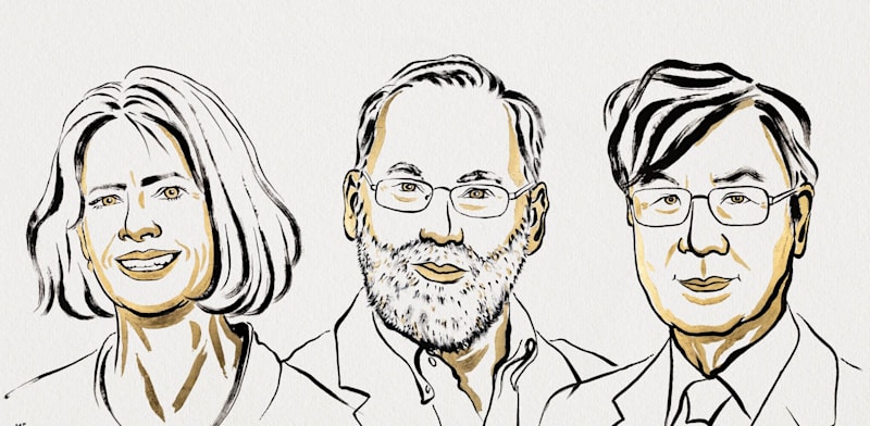 "זוכי פרס נובל לרפואה: שימון סאקאגוצ'י, פרד רמסדל ומרי ברונקו / צילום: Ill. Niklas Elmehed, Nobel Prize Outreach"