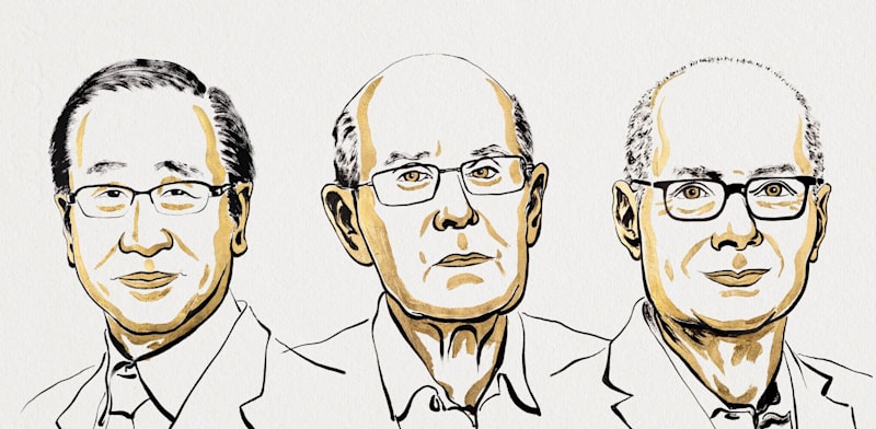 "זוכי פרס נובל לכימיה. מימין: עומר יאגהי, ריצ'רד קובסון וסוסומו קיטגבה / צילום: Johan Jarnestad/The Royal Swedish Academy of Sciences"