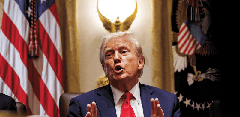 "נשיא ארה''ב, דונלד טראמפ / צילום: ap, Samuel Corum"