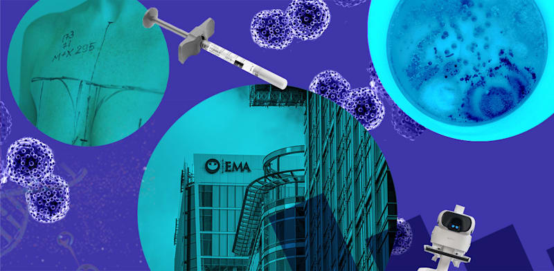 "חדשות הביומד / צילום: Shutterstock"