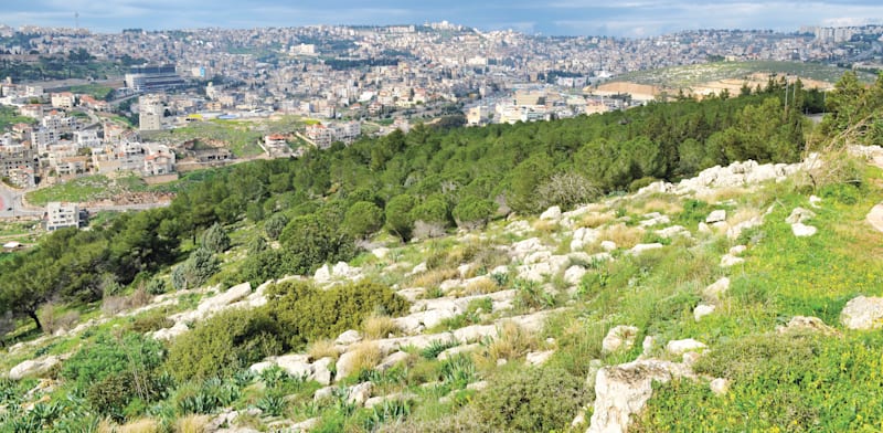 נצרת. 227 דירות שווקו בהצלחה / צילום: Shutterstock