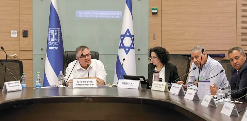 "ועדת הכלכלה בדיון על יוקר המחיה / צילום: דוברות הכנסת, דני שם טוב"