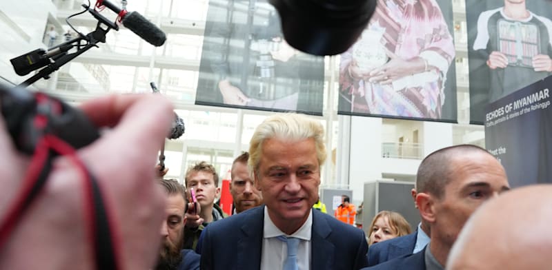 "חירט ווילדרס. הפסד מפתיע / צילום: ap, Peter Dejong"