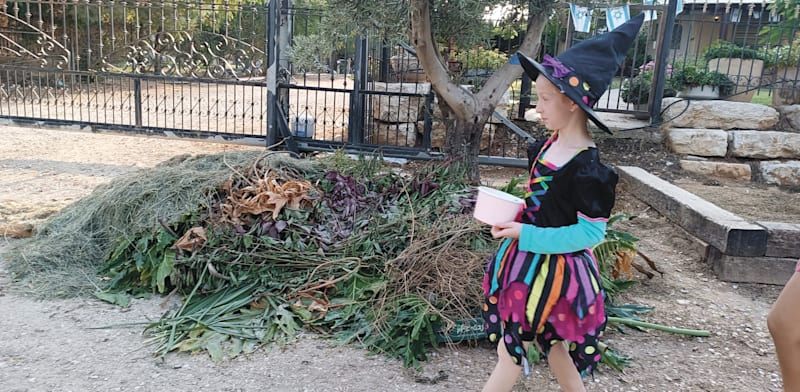 "''ממתק או תעלול'' בישראל. ''ההאלווין 'יעוברת''' / צילום: מיטל שטדלר"