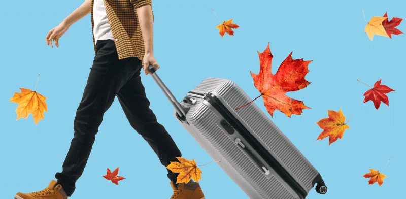 השיבה מקנדה