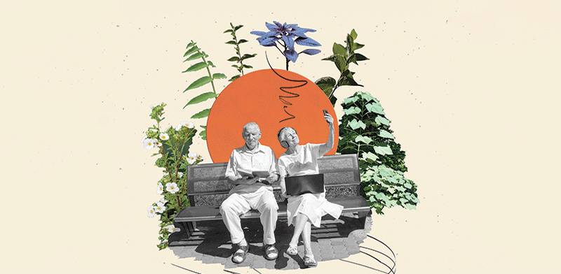 המדריך לפורש לפנסיה / צילום: Shutterstock