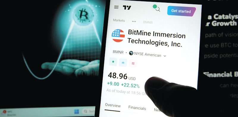 "BitMine, שבין משקיעיה גם פיטר ת'יל, צנחה 35% בחודש האחרון / צילום: Reuters, IMAGO/Hanno Bode"