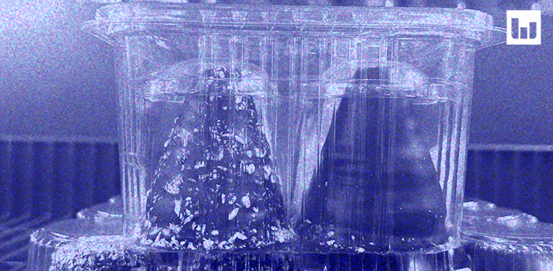 "בודקים את המיתוס. הקרמבו הוא לא המצאה כחול־לבן / צילום: אביעד לוי"