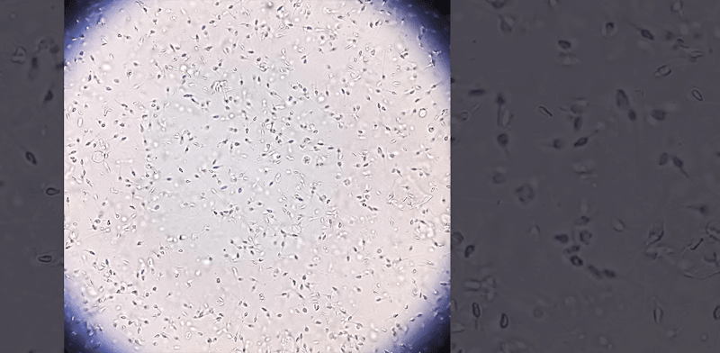 "חזית המדע / צילום: Shutterstock"