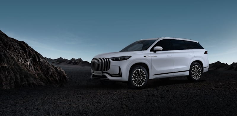 "ג'אקו 8 / צילום: יח''צ"