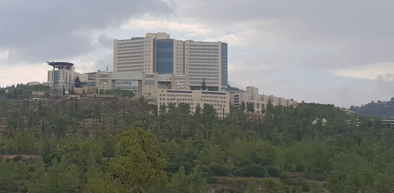 "בית החולים הדסה / צילום: אביבה גנצר"