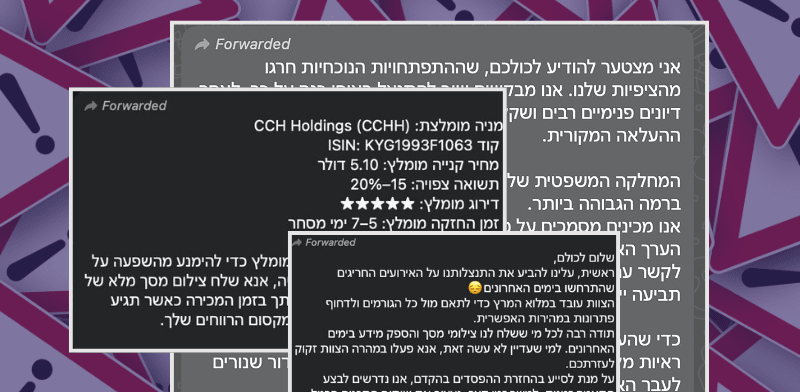 "הודעה שנשלחה בקבוצת וואטסאפ של מתחזים / צילום: צילום מסך"