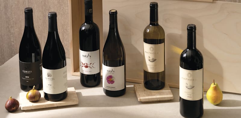 "יינות קבוצת אמפורה / צילום: אנטולי מיכאלו"