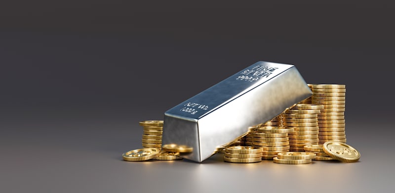 "מה עומד מאחורי נסיקתו של הכסף / צילום: Shutterstock"