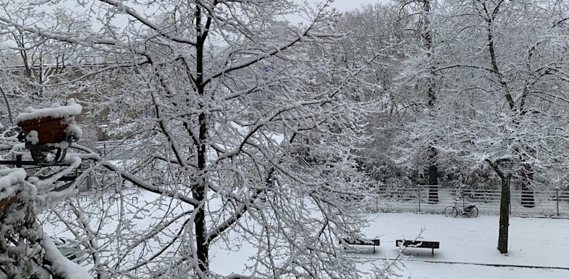 "שלג בברלין, השבוע / צילום: אסף אוני"