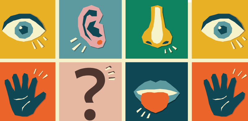 "חזית המדע. איך פועל החוש השישי / צילום: Shutterstock"