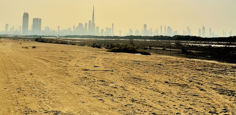 / צילום:  תחכיר 16 אלף דונם לארה''ב להקמת עיר טכנולוגית / אילוסטרציה: Shutterstock"