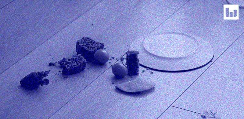 בודקים את המיתוס. חוק 3 שניות / צילום: Shutterstock