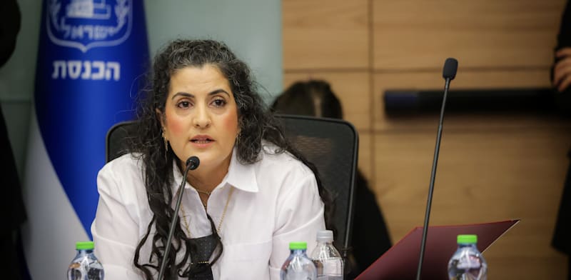 "עו''ד שגית אפיק, יועמ''שית הכנסת / צילום: נעם מושקוביץ, דוברות הכנסת"
