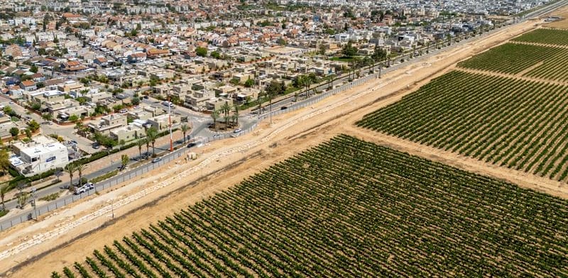 שדות בעיר אופקים / צילום: eyal tager