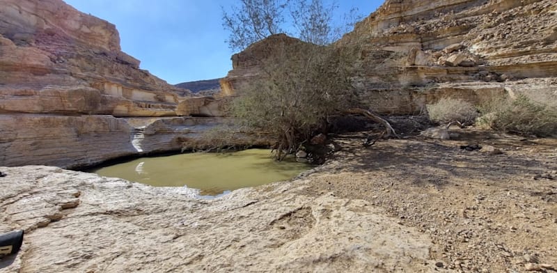 "נחל שרף / צילום: מולי אינהורן"