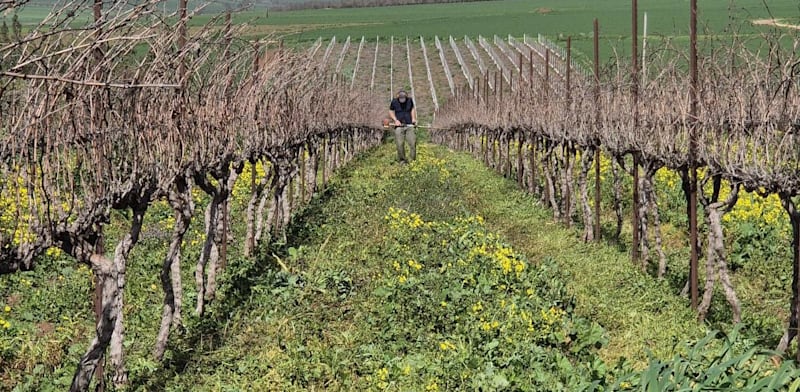 "הגפנים. המשפחה היא הציר של הסיפור / צילום: ענת אגמון"