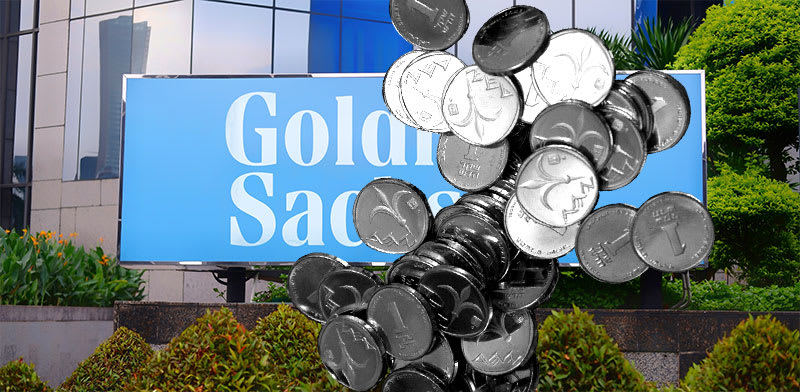 "בבנק ההשקעות גולדמן זאקס מהמרים נגד השקל / צילום: Shutterstock"