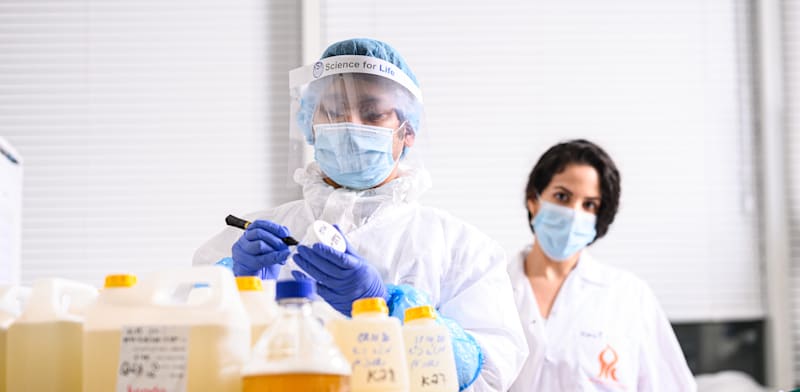 "חוקרים במעבדה של פרופ' אריאל קושמרו, אוניברסיטת בן גוריון / צילום: דני מכליס" "חוקרים במעבדה של פרופ' אריאל קושמרו, אוניברסיטת בן גוריון / צילום: דני מכליס"