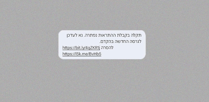 / צילום: 