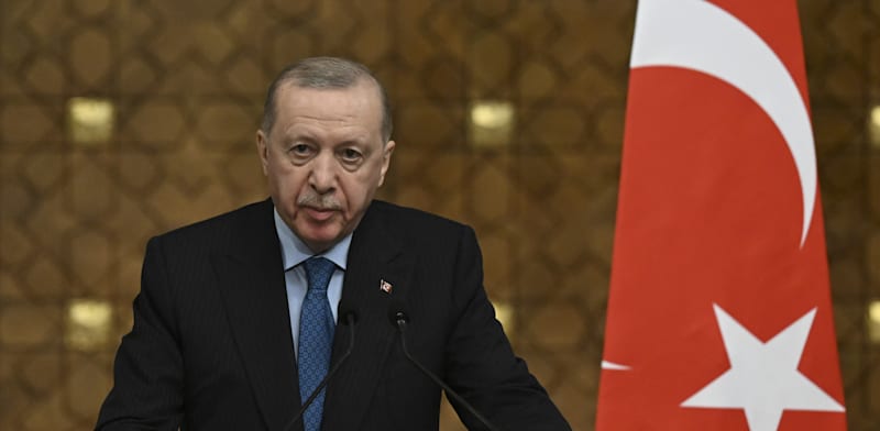 נשיא טורקיה, רג'פ טאיפ ארדואן / צילום: Reuters, Anadolu