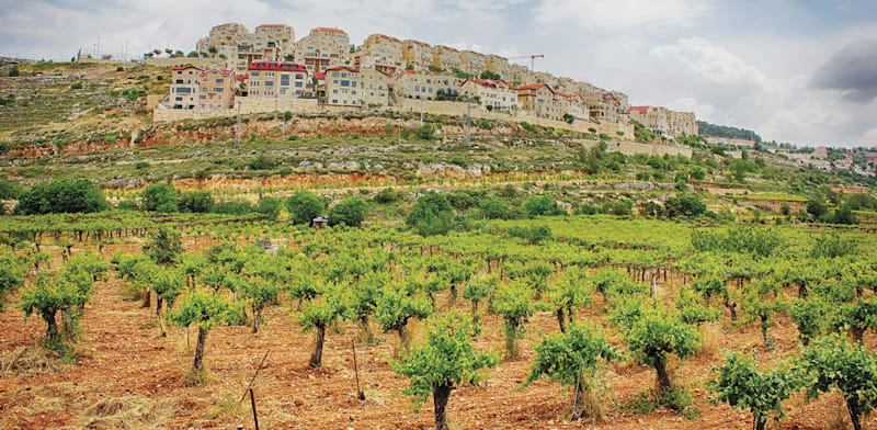 היישוב אפרת. שווי הבית עלה ל־7 מיליון / צילום: Shutterstock