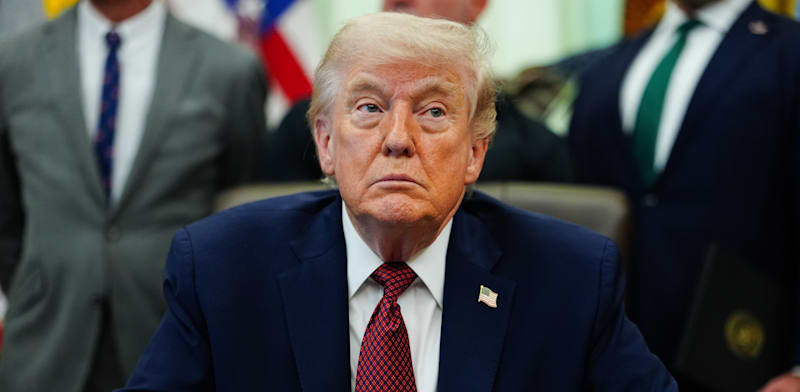 נשיא ארה''ב דונלד טראמפ / צילום: ap, Julia Demaree Nikhinson