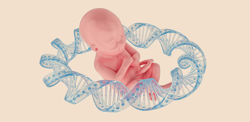 אילוסטרציה: Shutterstock