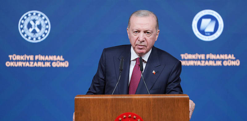 "רג'פ טאיפ ארדואן, נשיא טורקיה / צילום: Reuters, Cemal Yurttas"