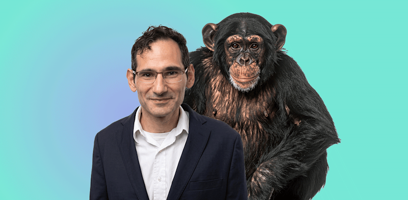 / צילום: רופמן (ושימפנזה) / עיבוד: אלבום פרטי"