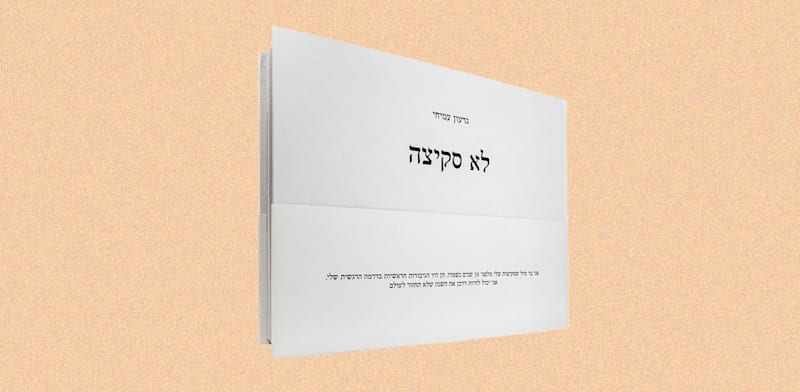 / צילום:  הספר ''לא סקיצה'' של גדעון עמיחי "