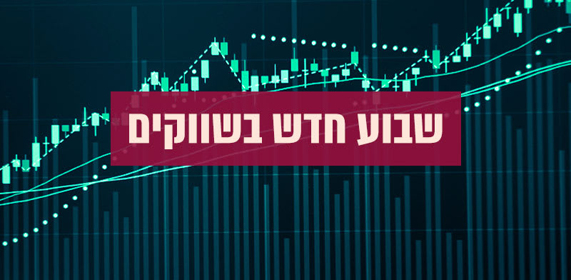 / צילום: 