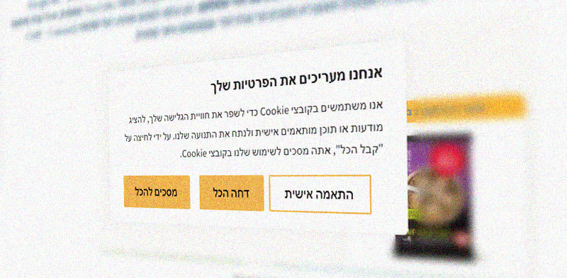 הסכמה לקבצי עוגיות / צילום: צילום מסך