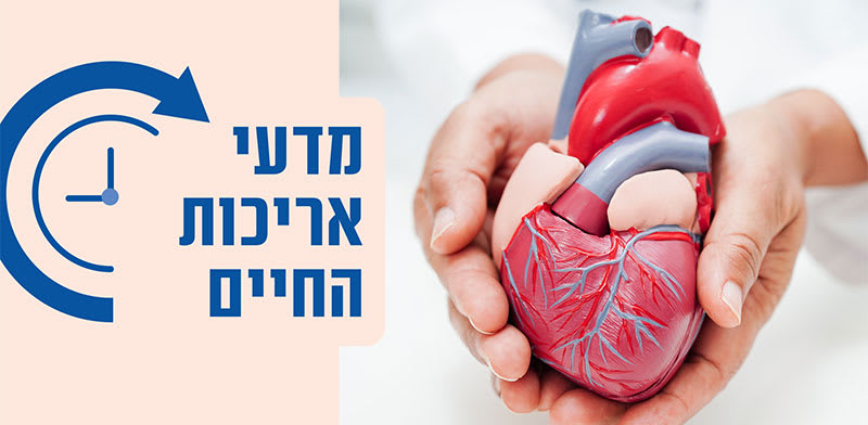 הדמיה: Shutterstock