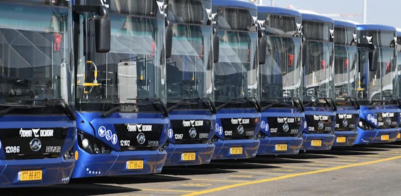 אוטובוסים חשמליים של חברת דן / צילום: דן תחבורה