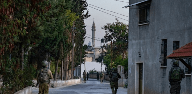 צילום: דובר צה''ל