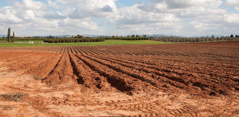 קרקע חקלאית / צילום: Shutterstock