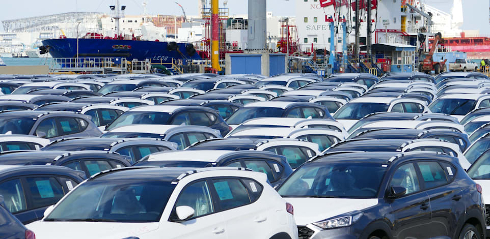 מגרש מכוניות למכירה, נמל אשדוד / צילום: Shutterstock