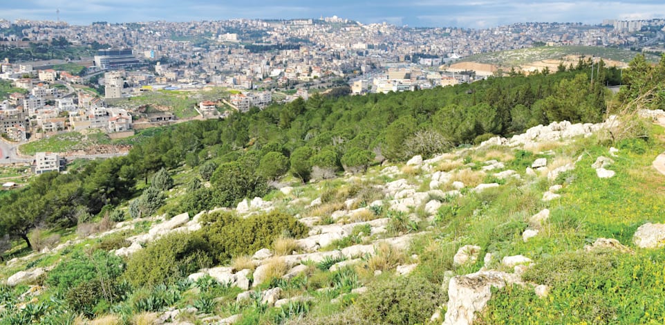 נצרת. 227 דירות שווקו בהצלחה / צילום: Shutterstock