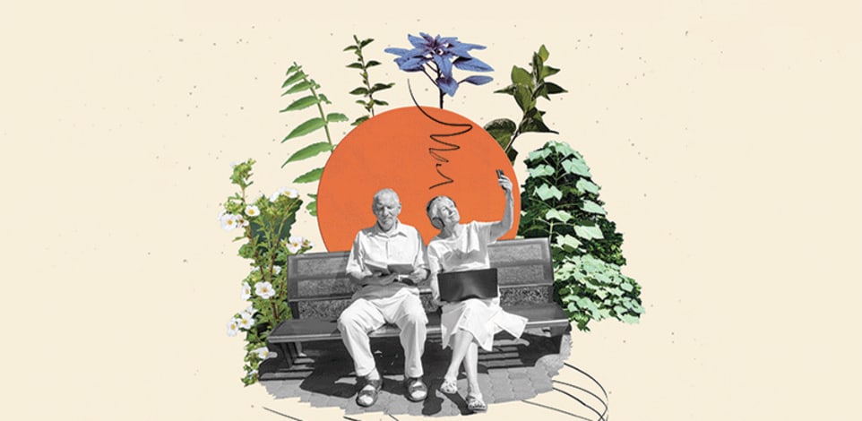 המדריך לפורש לפנסיה / צילום: Shutterstock