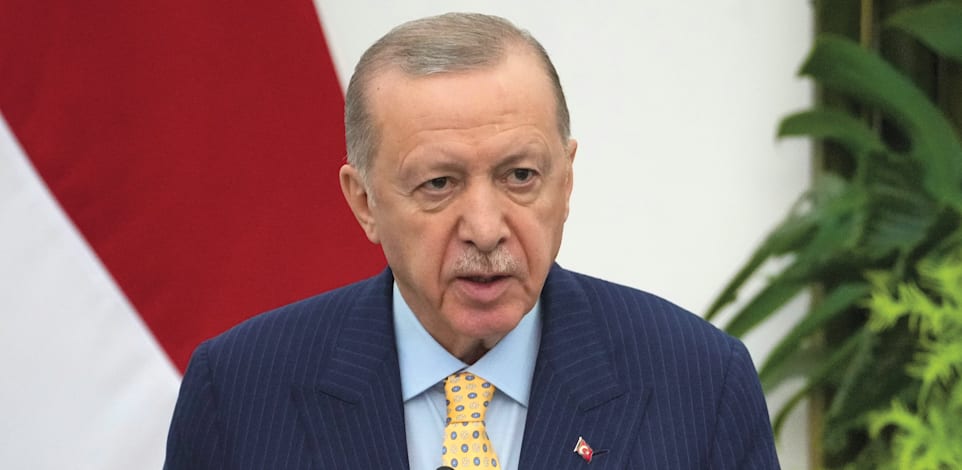 רג'פ טאייפ ארדואן, נשיא טורקיה / צילום: ap, Achmad Ibrahim