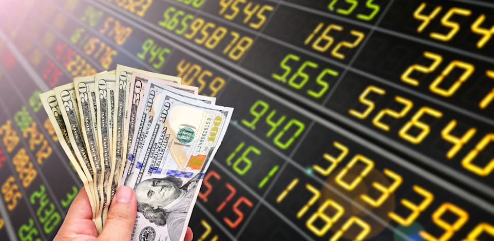 לגדר או להיות חשוף למט''ח? / צילום: Shutterstock