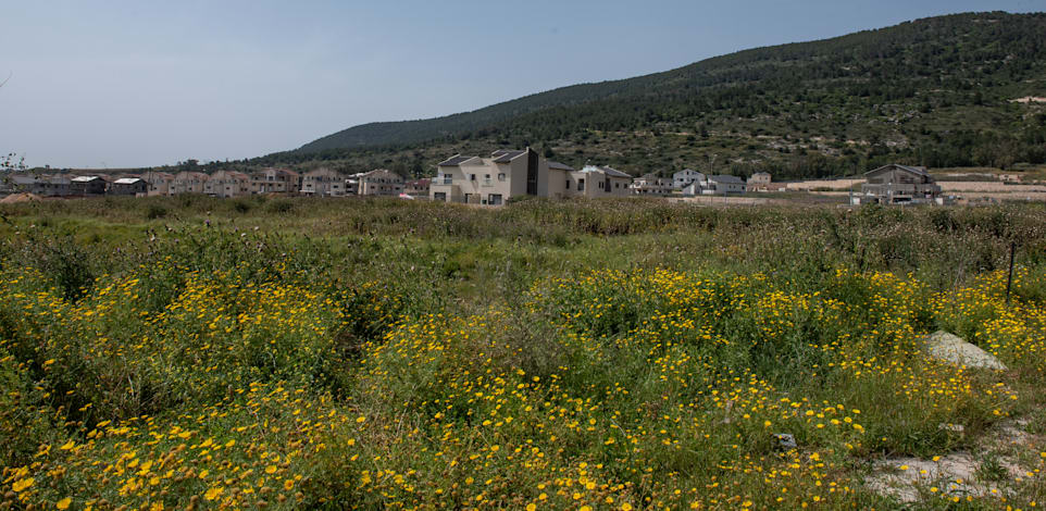 שכונת יערית, שלומי / צילום: אייל מרגולין